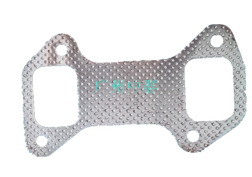 Exhaust pipe gasket 